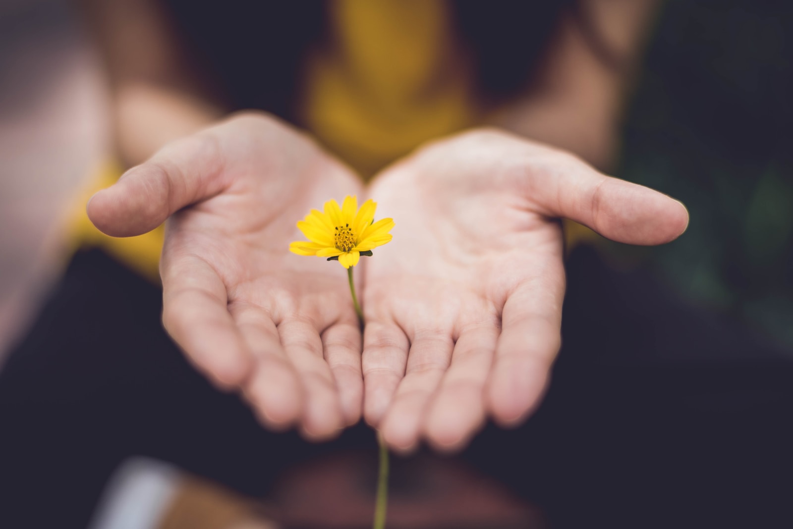 Foto van Lina Trochez selective focus photography of woman holding yellow petaled flowers